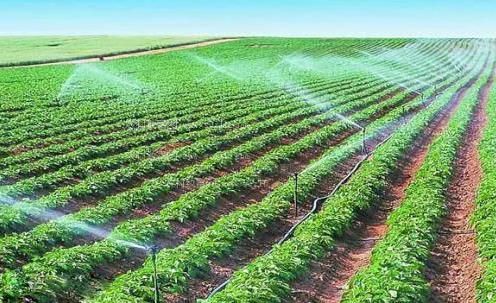 东北骚屄农田高 效节水灌溉